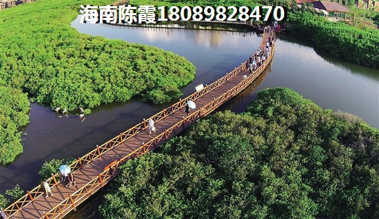 文昌阳光东海岸房价为什么还不跌?阳光东海岸交通便利么?