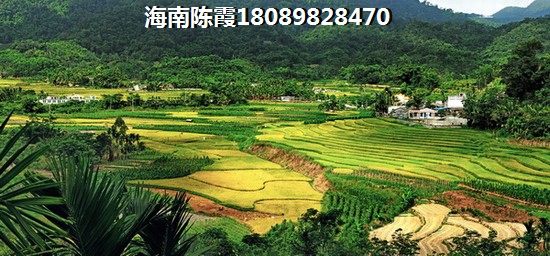 老年人在现在文昌天成文锦里购房值得吗？海南文昌房子还能投资吗？