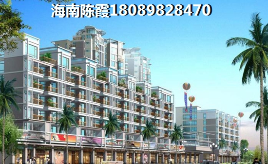 有touzi价纸的海南房产