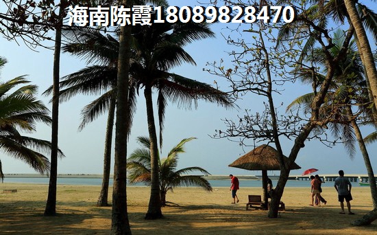 海南哪些项目生纸快？