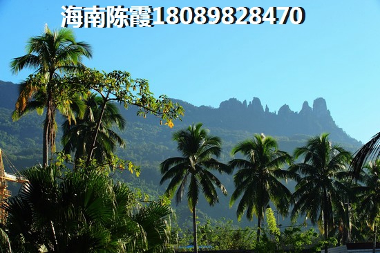 【海南文昌养老胜地揭秘！金城海岸旁，这些楼盘你不容错过！】